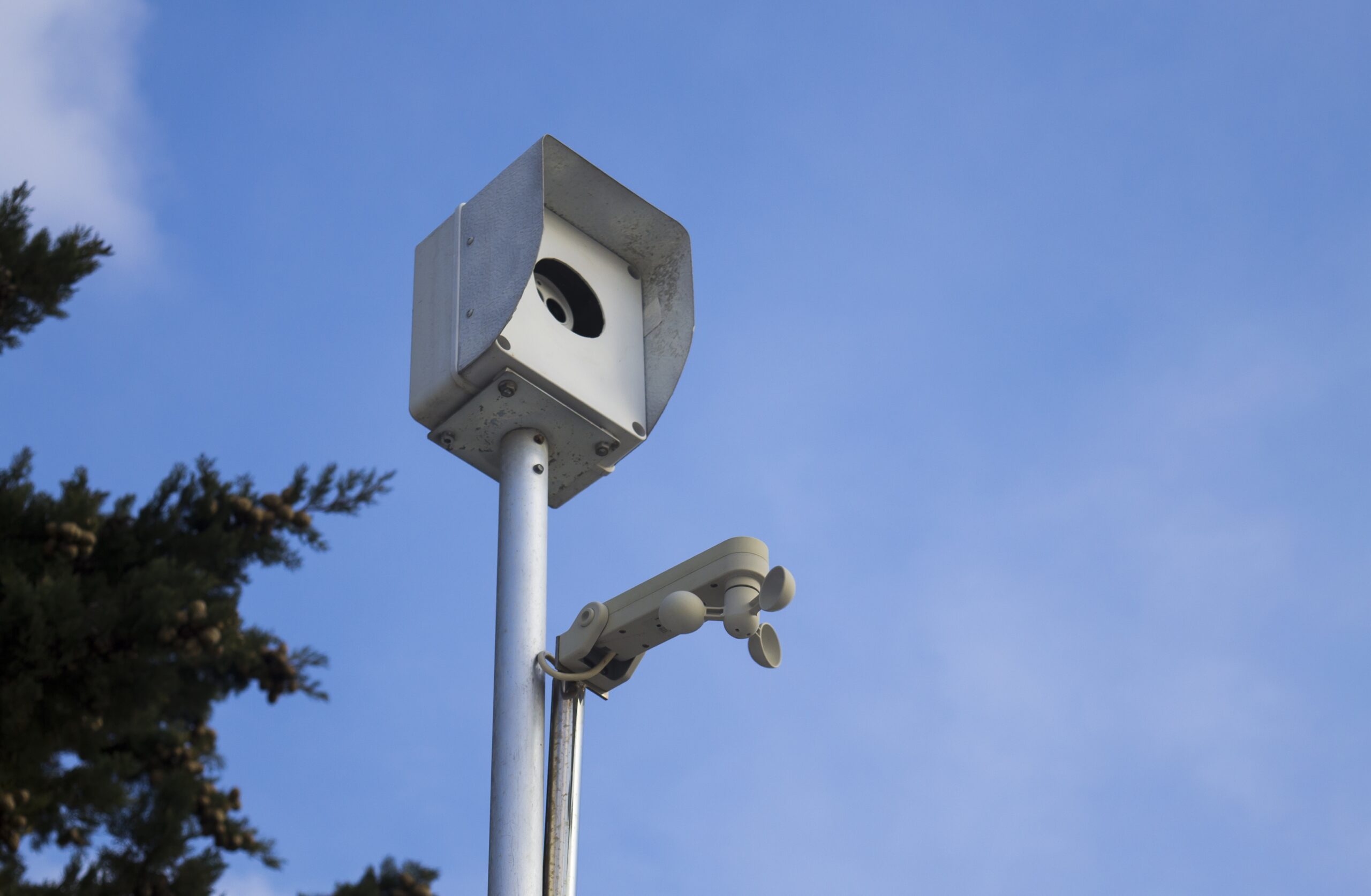 A low angle view of a street camera surrounded by teres under the sunlight and a blue sky